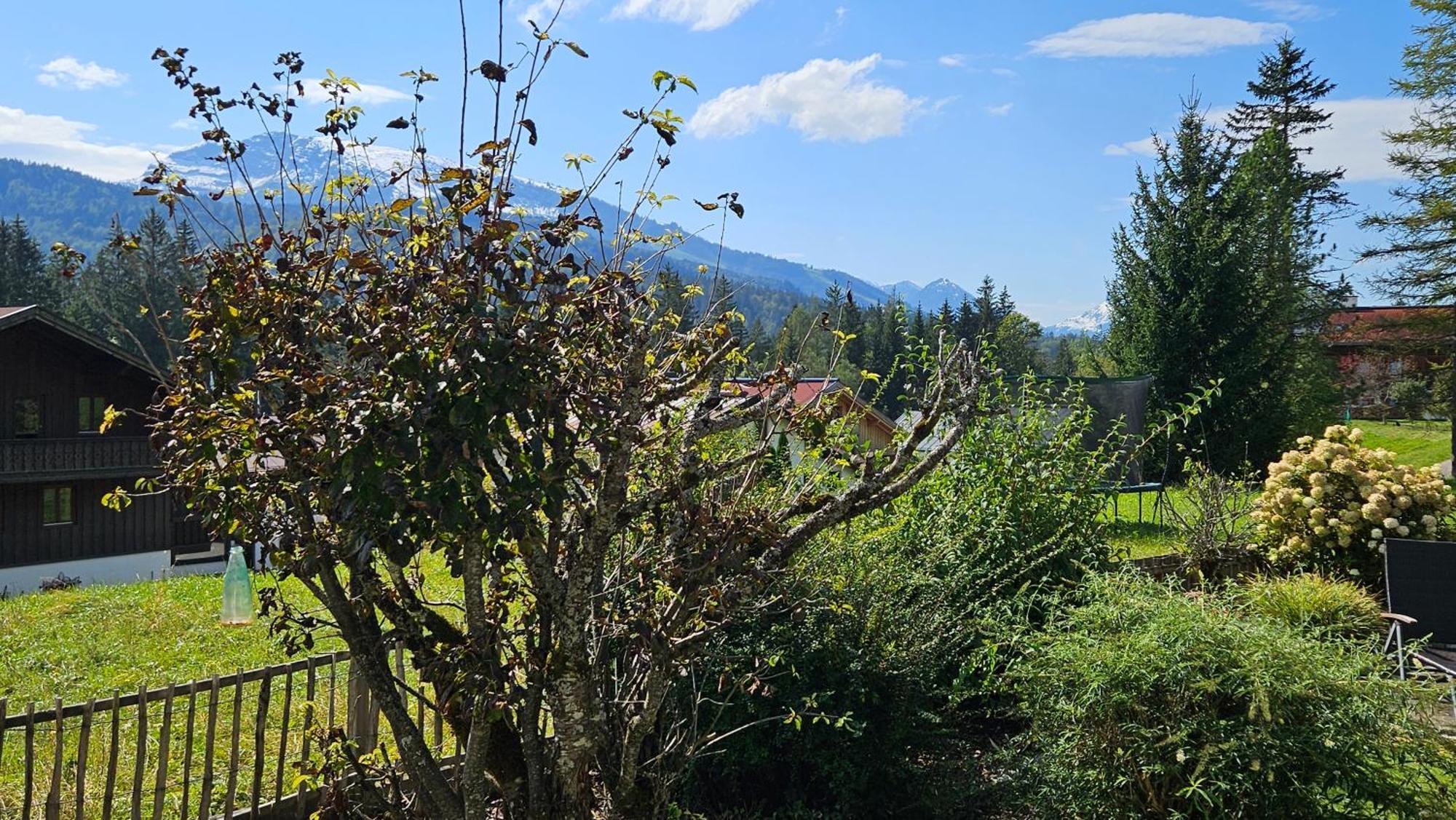 Chalet Weitsee Reit im Winkl Extérieur photo
